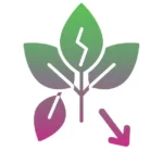 Pérdida de beneficios